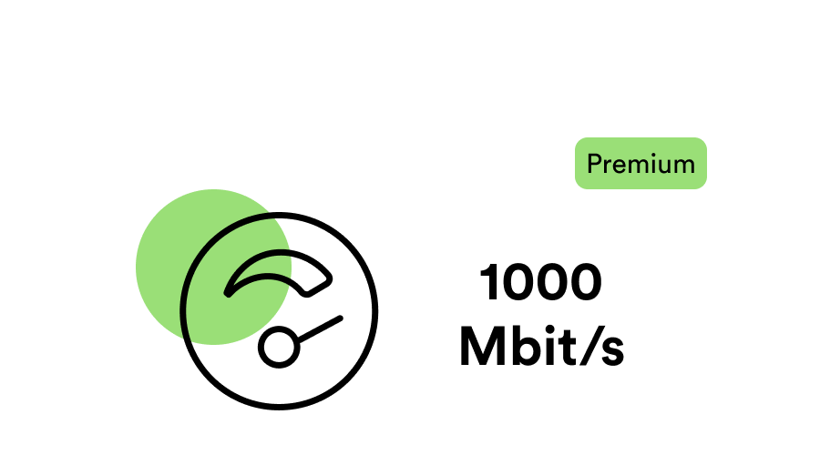 Bilde som illustrerer hastighet 1000 Mbit/s