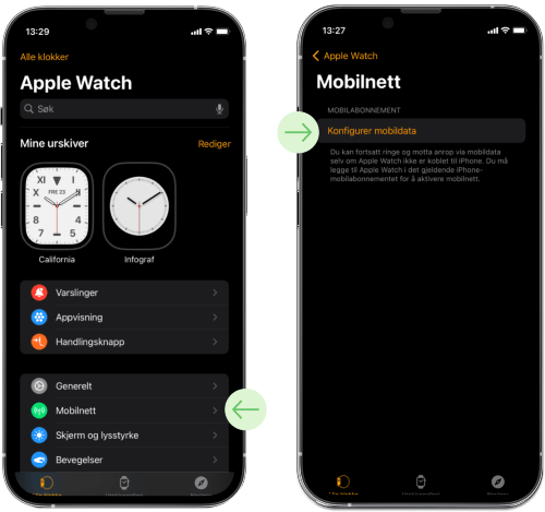 Apple watch interface