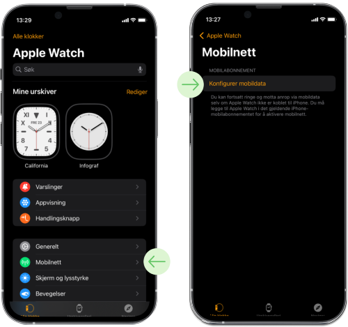 Apple watch interface