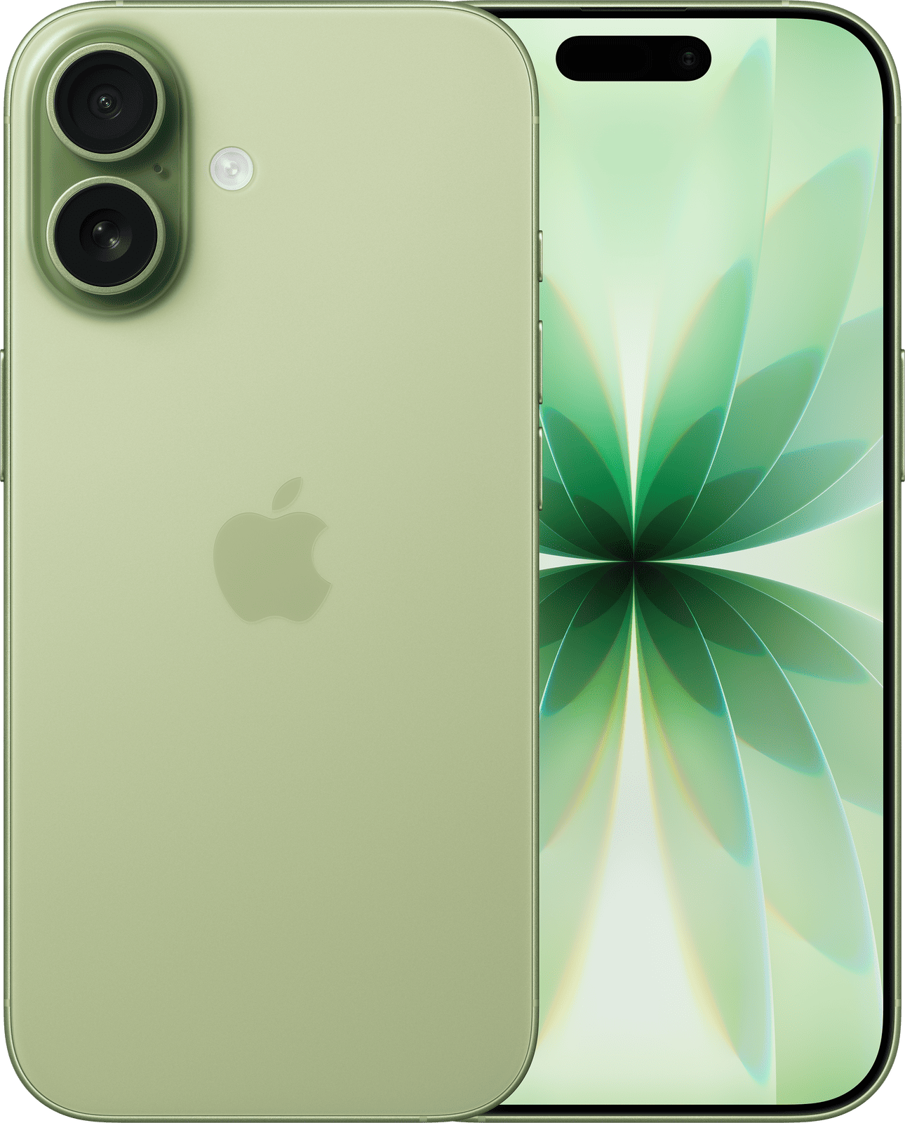iPhone 17 sage green
